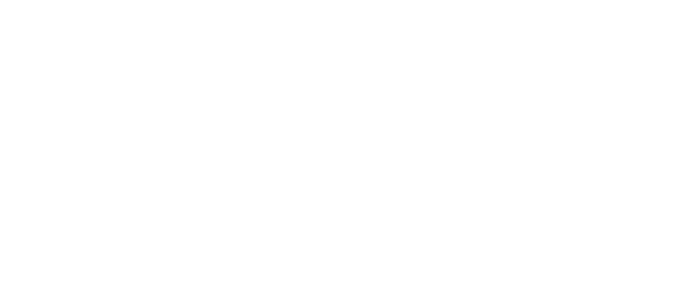 LogiQ Advance